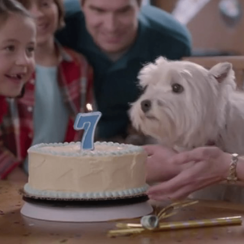 Banfield Pet Hospital60-Second TV Spot