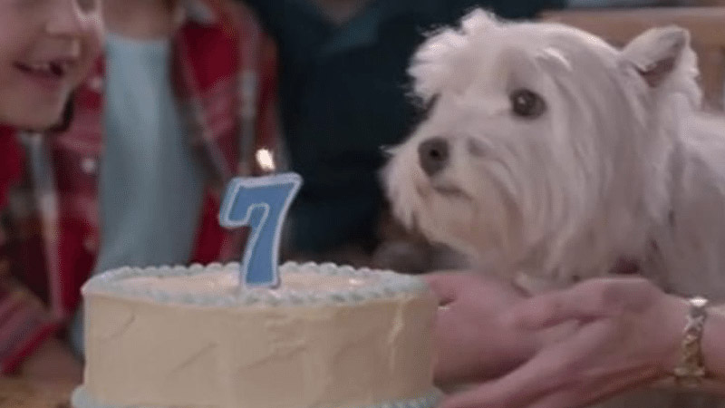 Banfield Pet Hospital 60-Second TV Spot